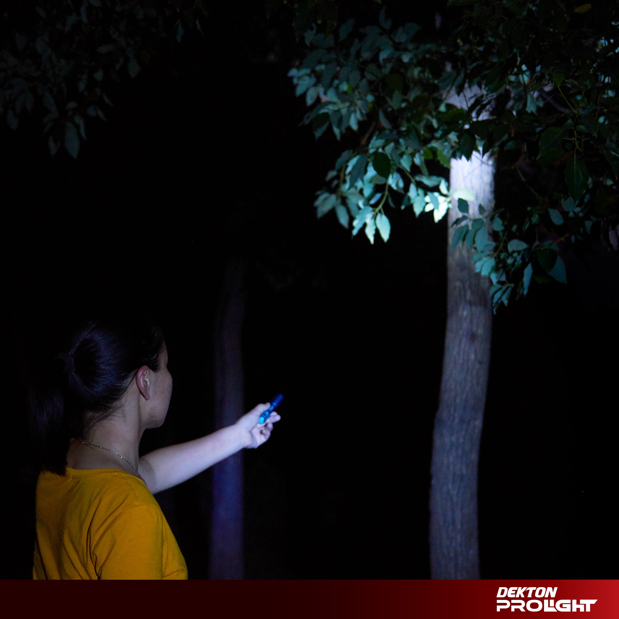 Dekton Stealth XF25 COB LED Torch 25 Lumens 30M Flashlight with Batteries Dekton Stealth XF25 COB LED Torch 25 Lumens 30M Flashlight with Batteries